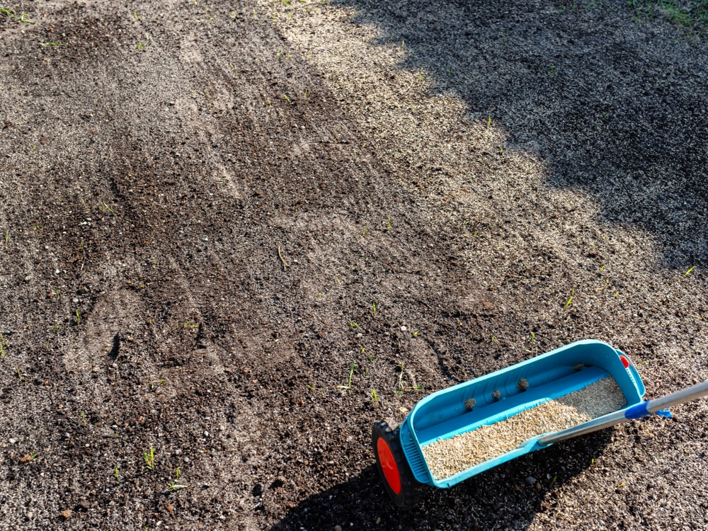 Sianie trawy z użyciem siewnika na przygotowanym, wyrównanym terenie