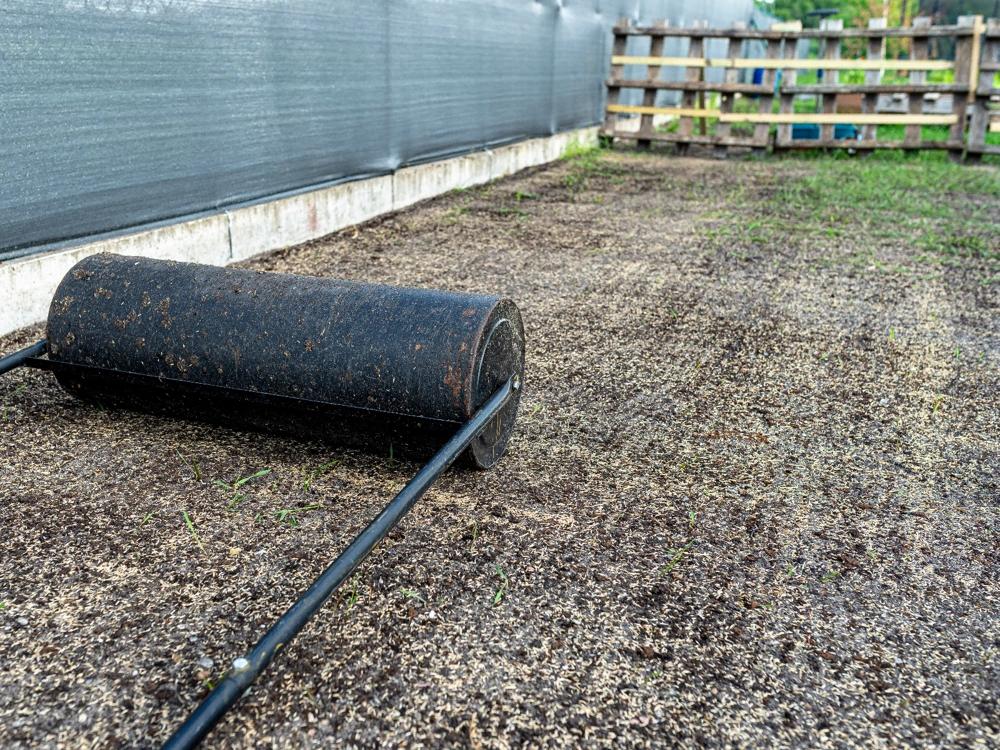 Wałowanie podłoża rolką po sianiu trawy