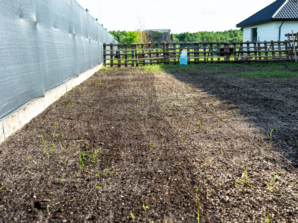 Sianie trawy na wyrównanym terenie przy ogrodzeniu